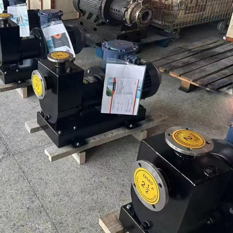 Bomba de auto-impressão magnética ZCQ